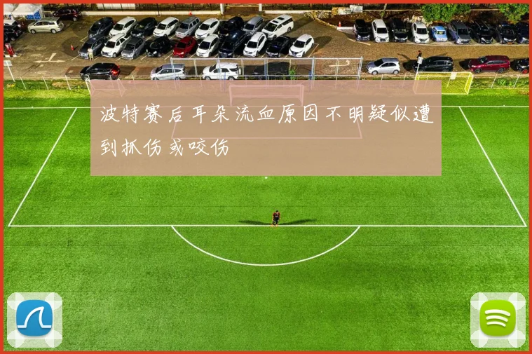 波特赛后耳朵流血原因不明疑似遭到抓伤或咬伤